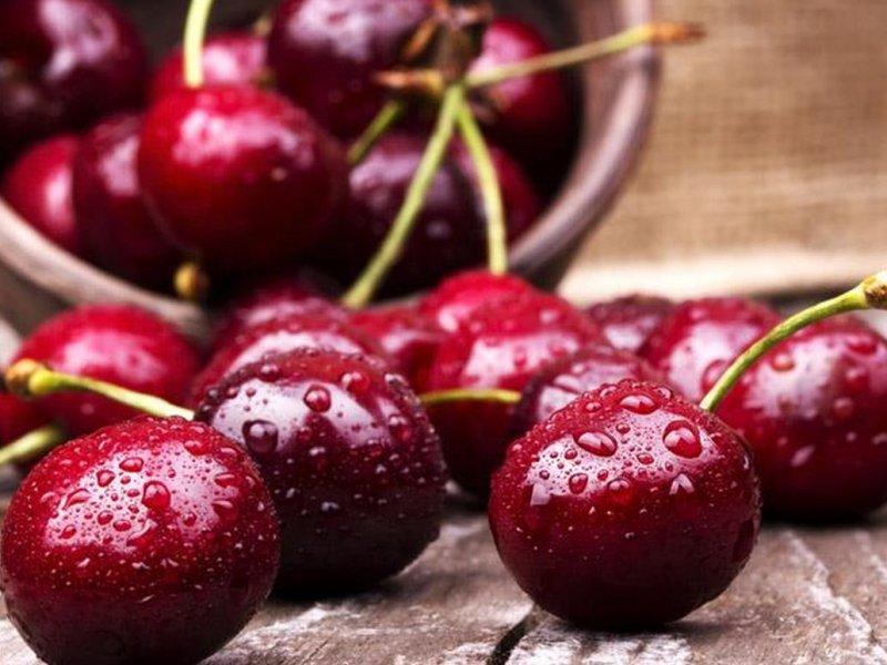 Вишня купить саженцы из питомника в Чусовом